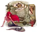 seashell