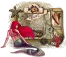 seashell