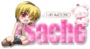 Awesome Gal-Sache