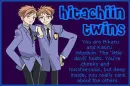 hitachin twins