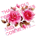 THANK YOU FOR THE VOTE AND COMMENTS.