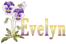 Evelyn