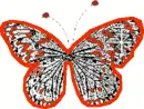 Batterfly