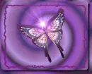 Batterfly