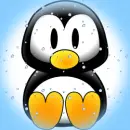Penguin #2