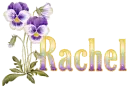 Rachel