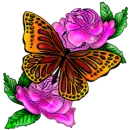 Butterfly Rose