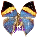 Judi's colorful butterfly. 