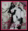 Have a Great Night (Minnie)