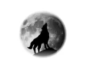 my Wolf