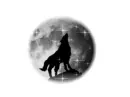 my Wolf