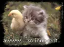 So innocent