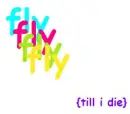 fly 