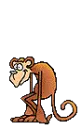 Monkey Moving