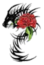 Wild dragon rose