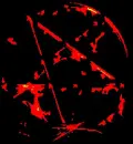 pentegram bkgnd