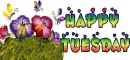 Happy Tuesday