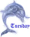 Tuesday