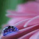 Tear