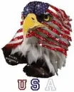 USA Eagle