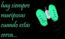 mariposas