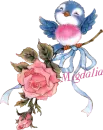 migdalia