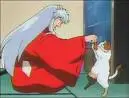 Inuyasha playing with a cat