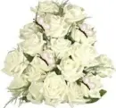 White roses