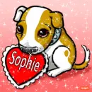 sophie puppy