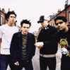SUM 41