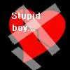 stupid boy 