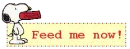 feed me  now
