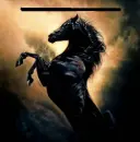 black horse