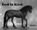 black horse
