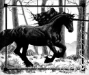 unicorns