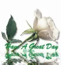 Glitter White Rose have a great day