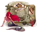 seashell