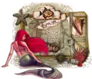 seashell