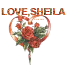 for my friend sheila