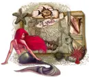 seashell