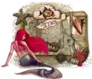 seashell