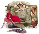 seashell