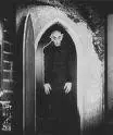 nosferatu