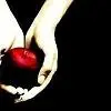 Twilight Book