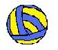 voLLeybaLL 