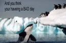 bad day