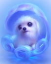 dog blue