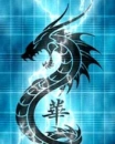blue dragon