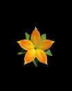 animated flower