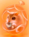 orange hamster